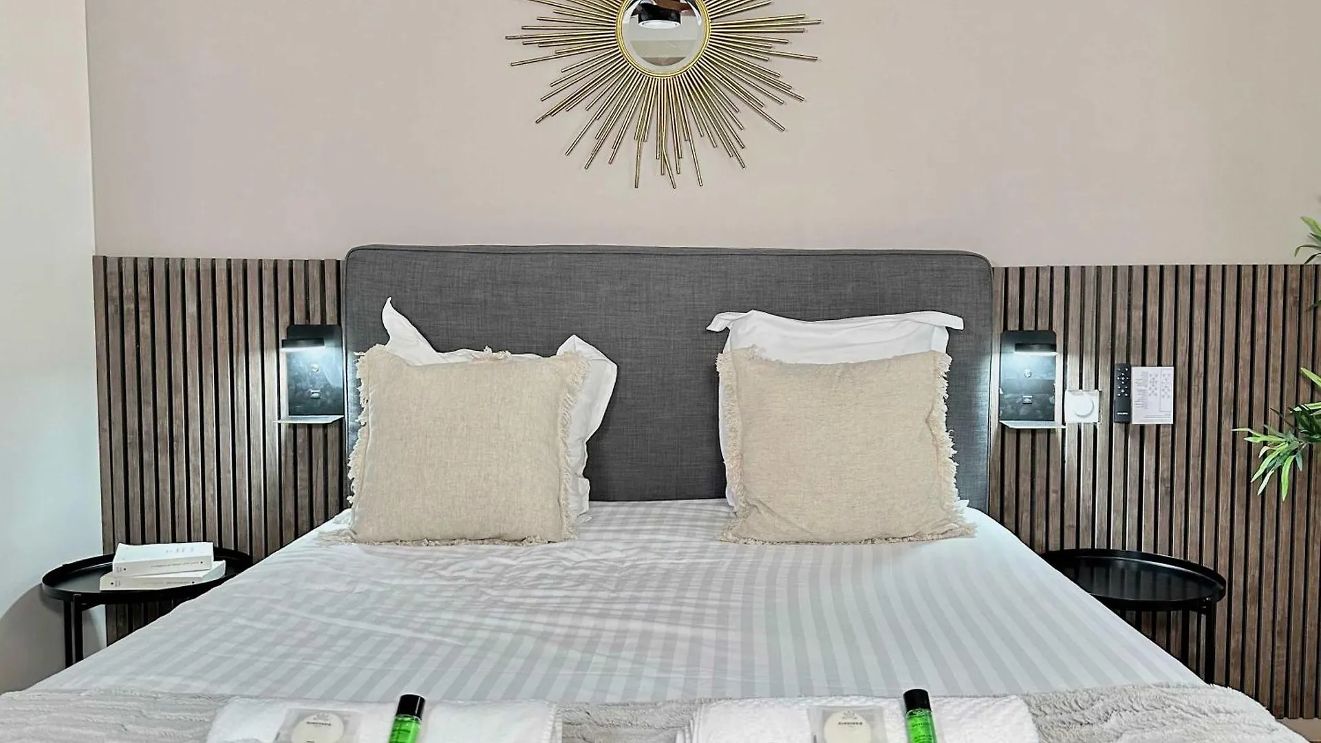 Typical Luxurious Parisian Getaway Parijs
